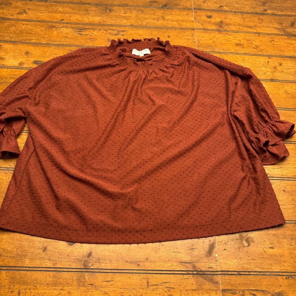 Texture & Thread Madewell Burnout Dot Blouse Top Rust Orange‎ XL Ruffle Sleeve